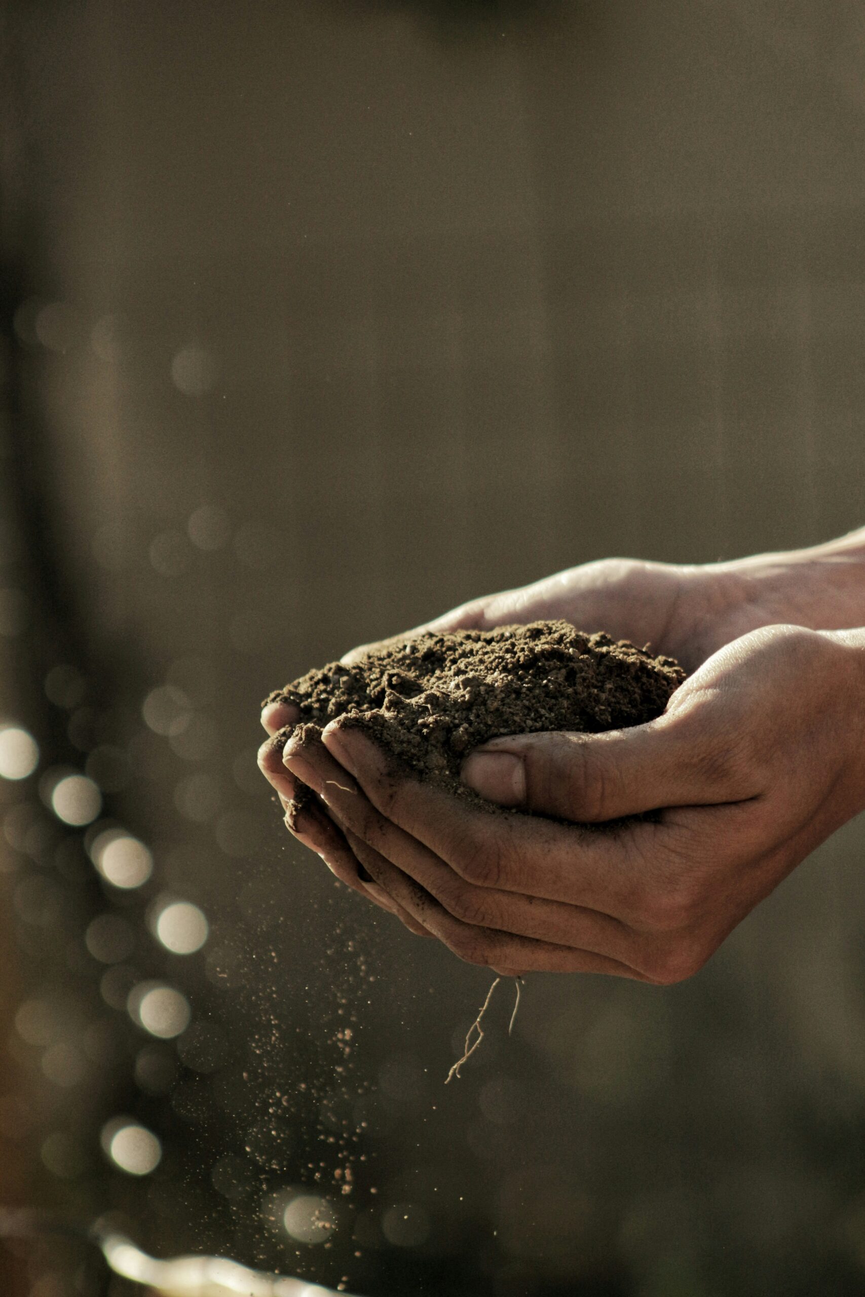 Farmer holding soil